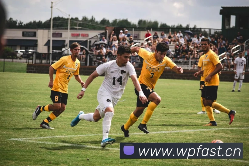 爱游戏ayx在线登录入口平台生态图