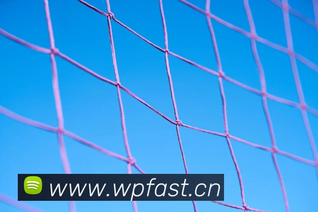 爱游戏ayx在线登录入口APP 封面图